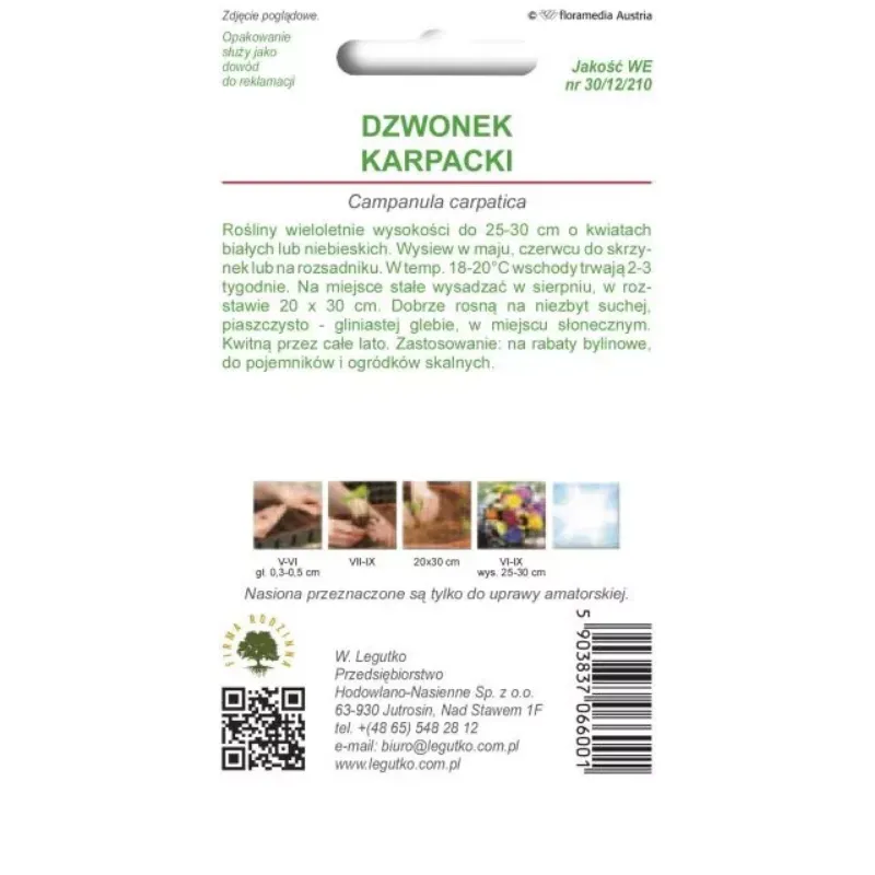 Dzwonek Karpacki – Mieszanka (Biały, Niebieski)