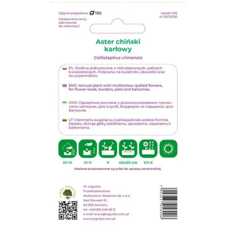 Nasiona Aster Chiński Karłowy Mieszanka Kolorów GARDIVA 1,5 g Ogrodowe