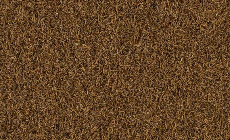 Tetra Delica Bloodworms 100ml