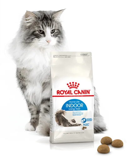ROYAL CANIN Indoor Long Hair 10kg