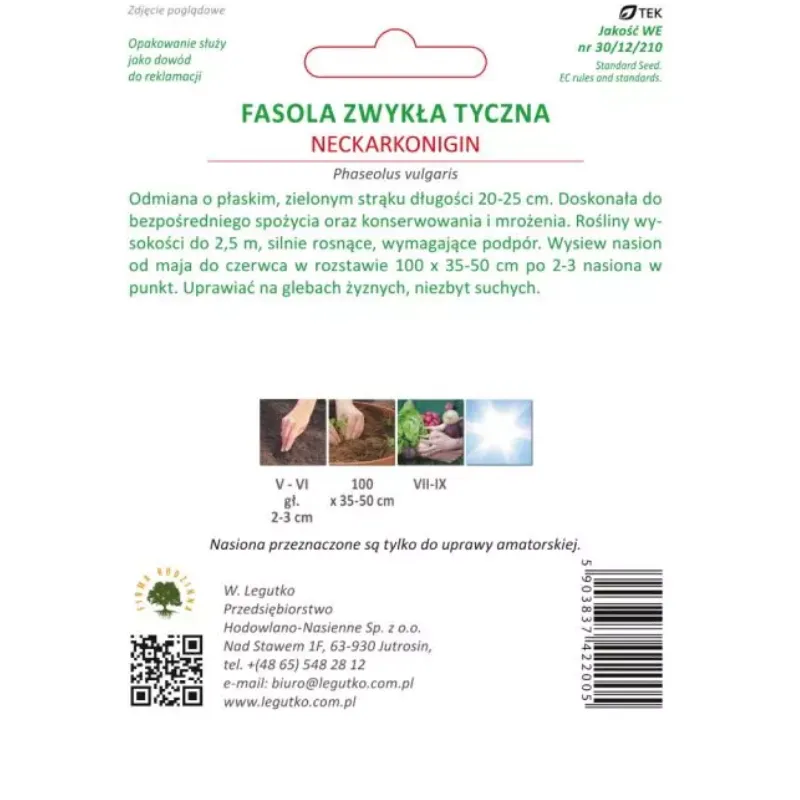 Fasola Szparagowa Tyczna Zielonostrąkowa Średniowwczesna GARDIVA 10 g