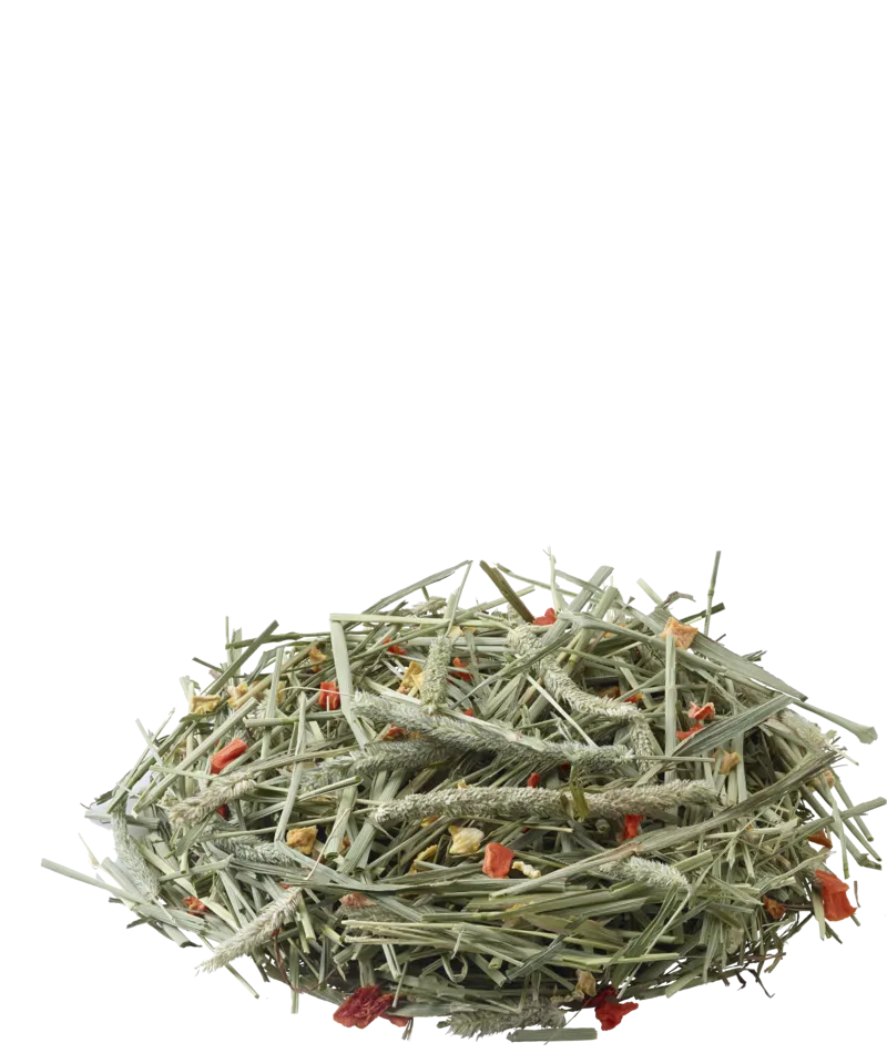 Versele-Laga Timothy Hay Carrot & Pumpkin 500g