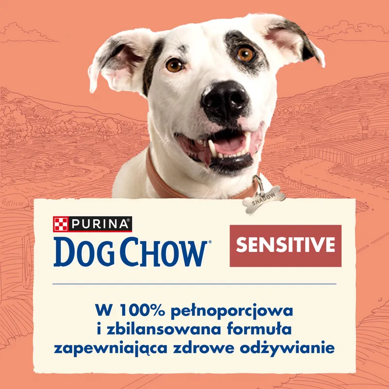 Purina Dog Chow Sensitive Adult Z Łososiem 14kg