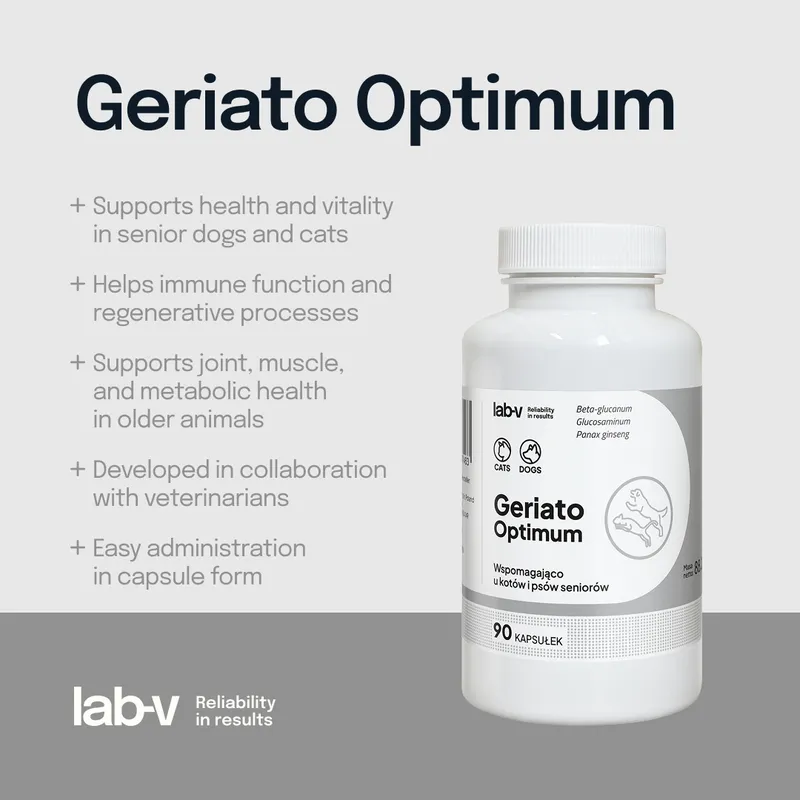 Lab-V Geriato Optimum Wspomaganie Zdrowia Seniorów Dla Psów I Kotów 90 Kapsułek