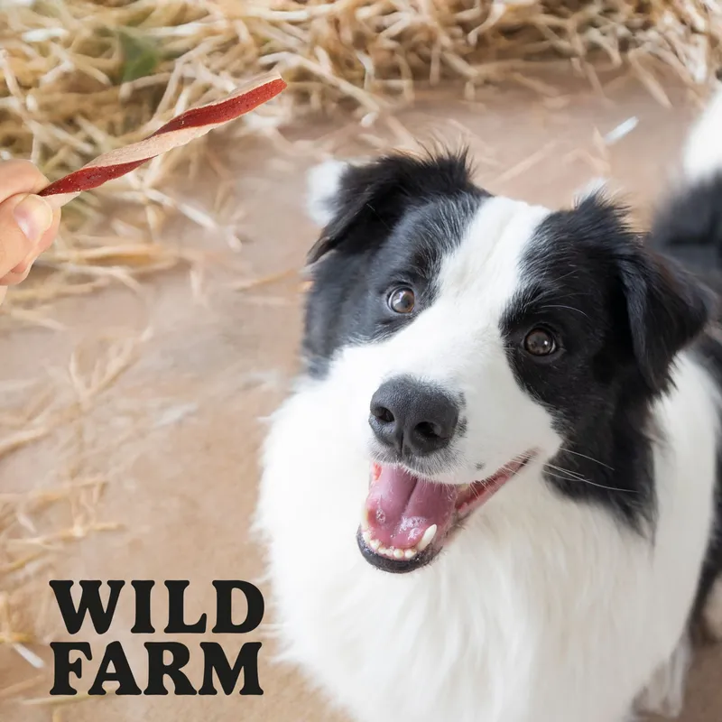 Wild Farm Kanapka Z Kaczką 500g Przysmak Dla Psa