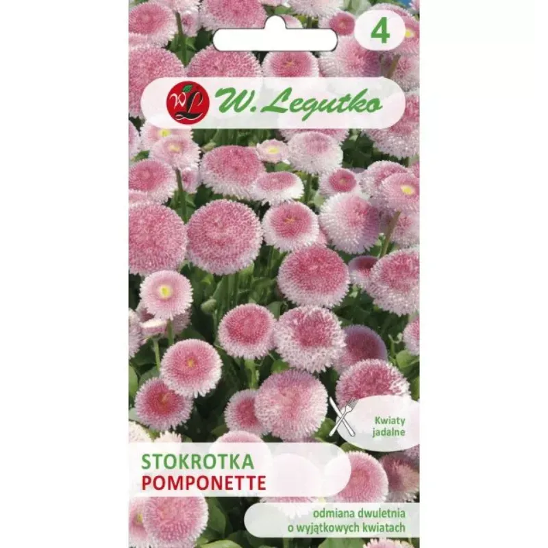 Stokrotka Pospolita 'Pomponette' - Różowa