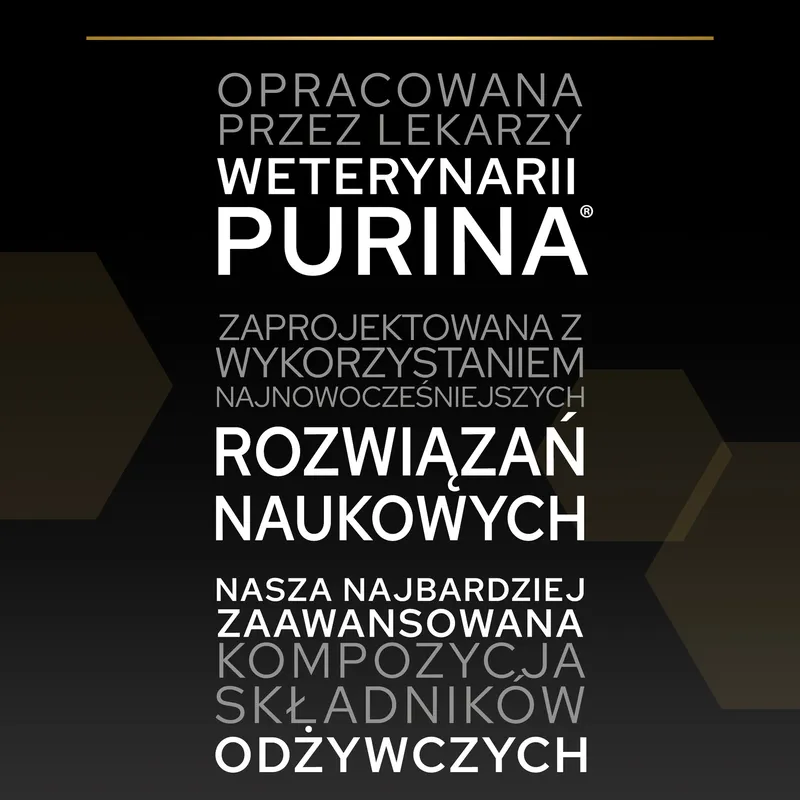 Purina Pro Plan Original Kitten Kurczak Z Ryżem 1,5kg