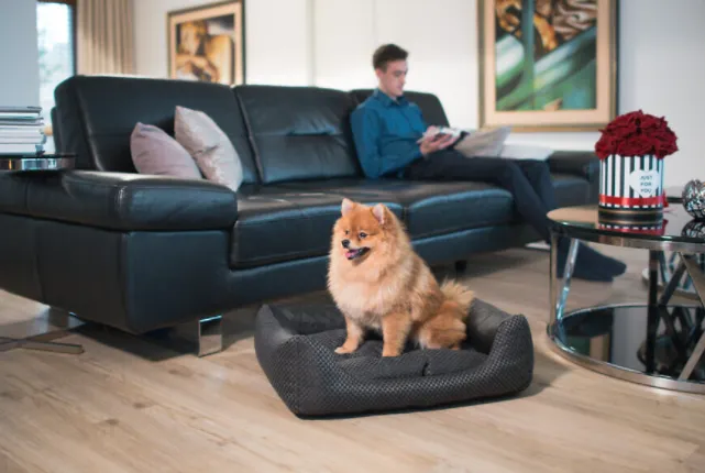 AMIPLAY Sofa ZipClean 4 In 1 Morgan S - Biała