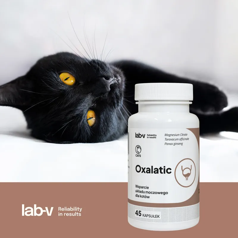 Lab-V Oxalatic Wsparcie Dla Kotów Przy Tworzeniu Się Kamieni Oksalatowych 45 Kapsułek