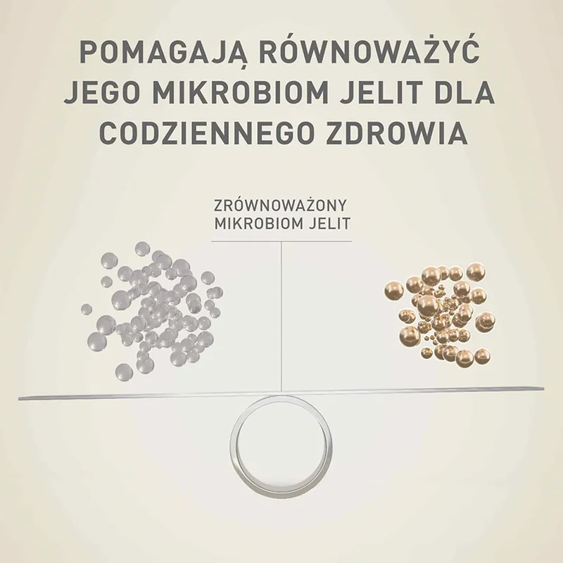 PURINA ONE Mini Delicate Łosoś, Ryż - Sucha Karma Dla Psa - 800 g