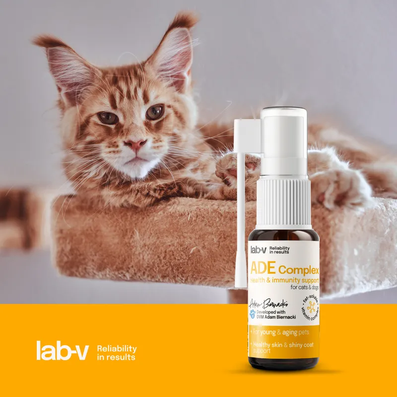 Lab-V ADE Complex Kompleks Witamin A, D I E W Formie Spreju Dla Psów I Kotów 2 x 10ml