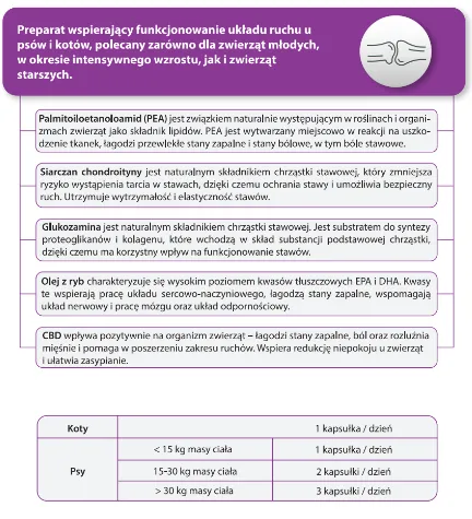 Suplement Dla Psa Osteoporozie Wsparcie Stawów ZOOJOY 60 Tabl