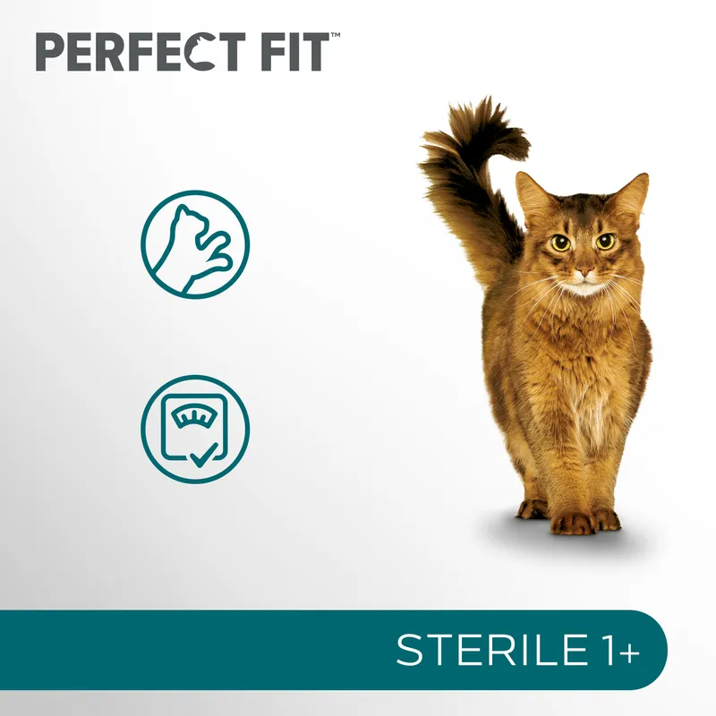 Perfect Fit™ - Sucha Karma Pełnoporcjowa Dla Dorosłych Kotów Po Zabiegu Kastracji, Bogata W Kurczaka 7kg