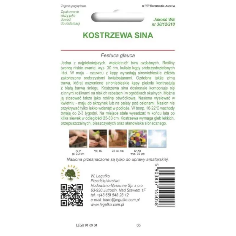 Kostrzewa Sina Trawa Ozdobna Srebrnoniebieska GARDIVA 0,2 g