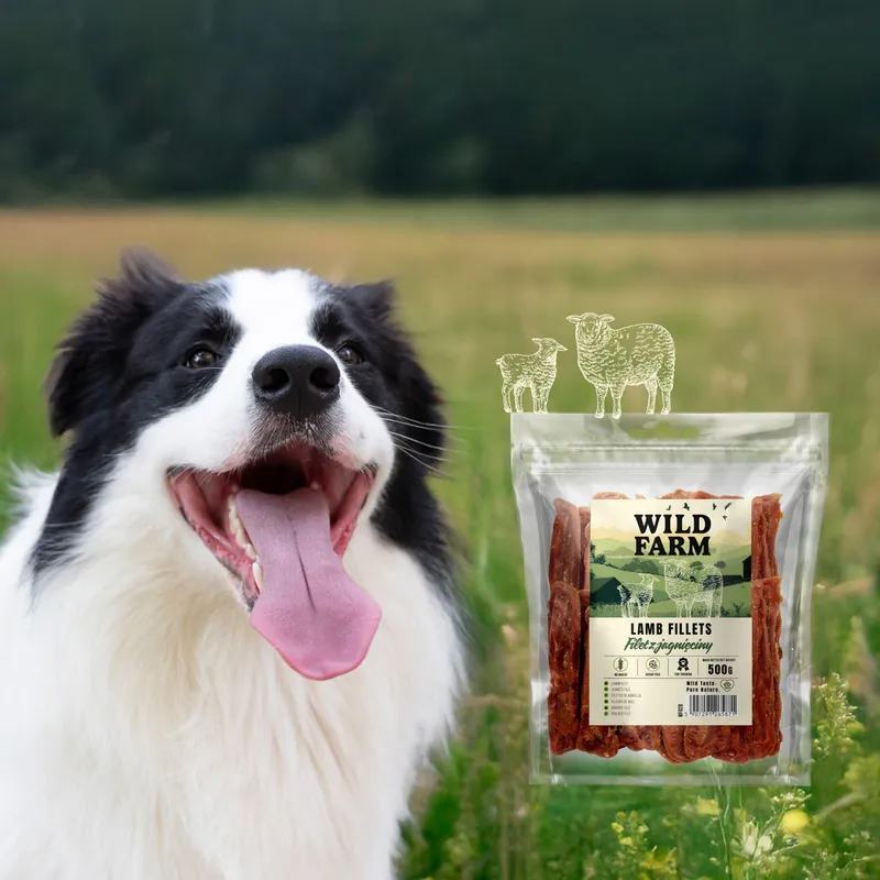 Przysmak Dla Psa Filet Z Jagnięciny Naturalny Bezzbożowy ZOOJOY 500 g