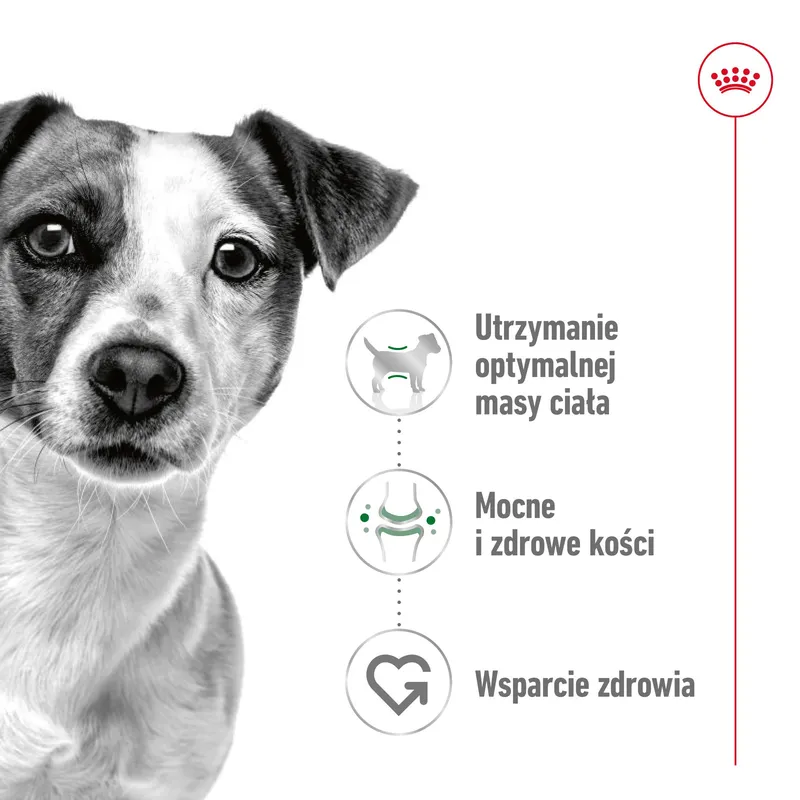 ROYAL CANIN Mini Adult 4kg