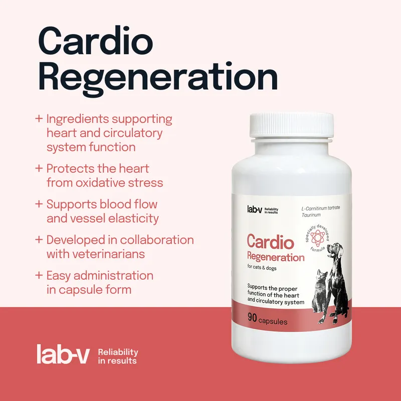 Suplement Na Serce Dla Psa I Kota 90 szt ZOOJOY Cardio Regeneration