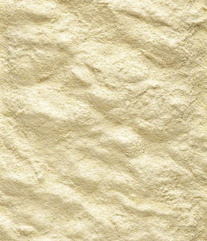 Versele-Laga NutriBird A19 Pokarm Do Ręcznego Karmienia Piskląt 3kg