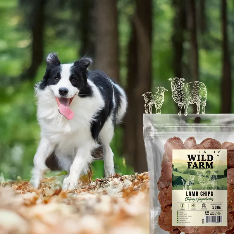 Przysmak Dla Psa Jagnięcina Naturalny Bezzbożowy ZOOJOY 500 g