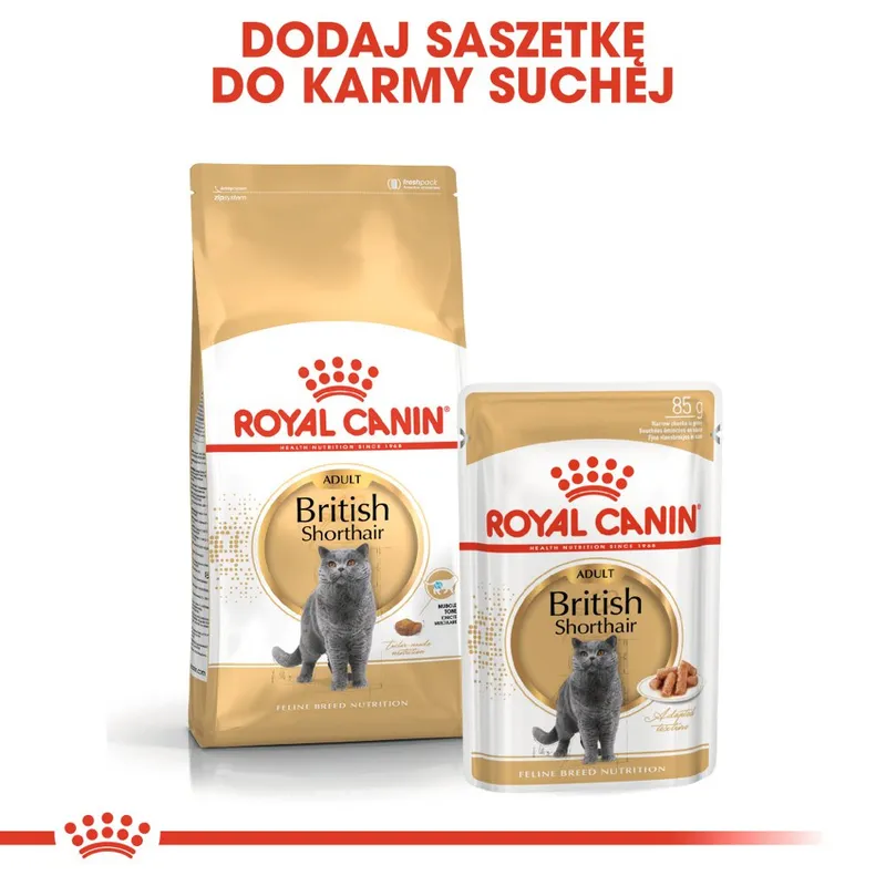 ROYAL CANIN British Shorthair Adult 4kg