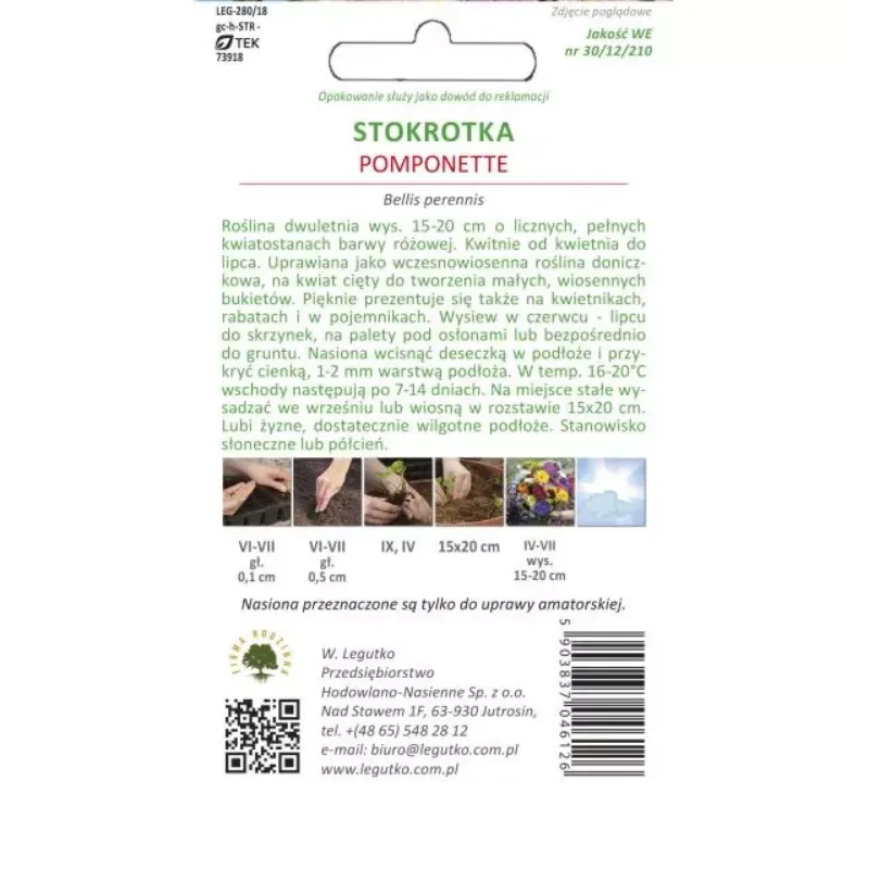 Stokrotka Pospolita 'Pomponette' - Różowa