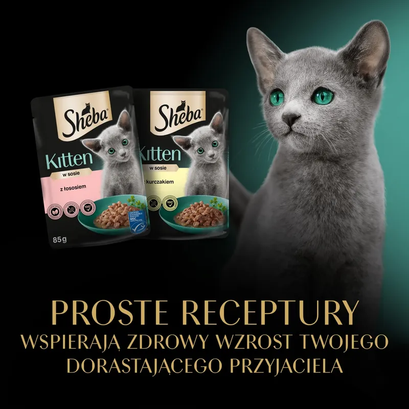 Sheba Kitten Wybór Smaków W Sosie Karma Dla Kociąt 40x85g