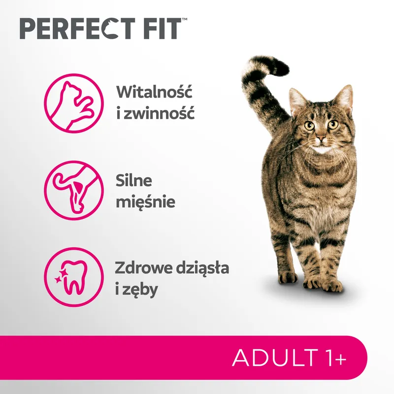 Perfect Fit™ - Sucha Karma Pełnoporcjowa Dla Dorosłych Kotów, Bogata W Wołowinę 7kg