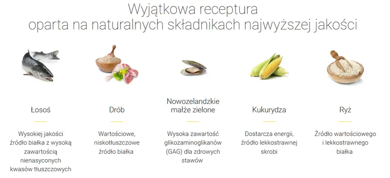 Josera Festival Karma Dla Dorosłych Psów Średnich I Dużych Ras 12,5kg