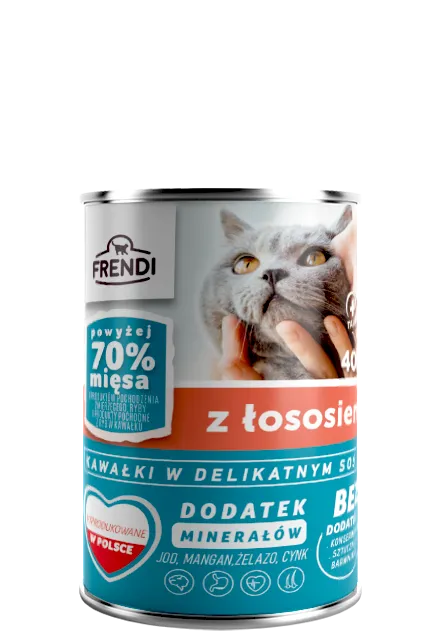 Frendi Kawałki W Delikatnym Sosie Z Łososiem 400g