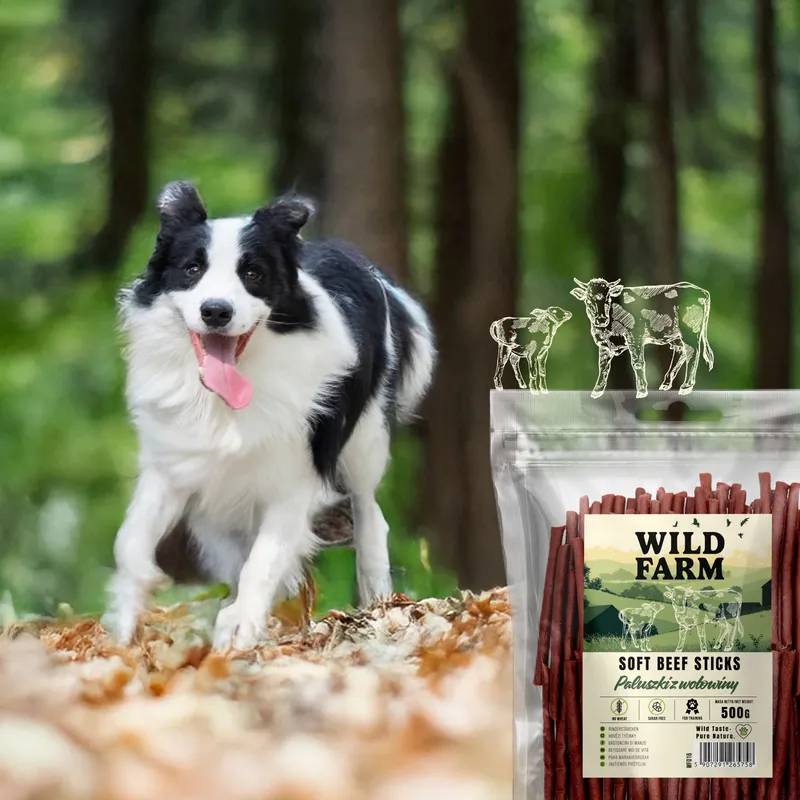 Przysmak Dla Psa Wołowy Naturalny Bezzbożowy ZOOJOY 500 g Suszone Mięso