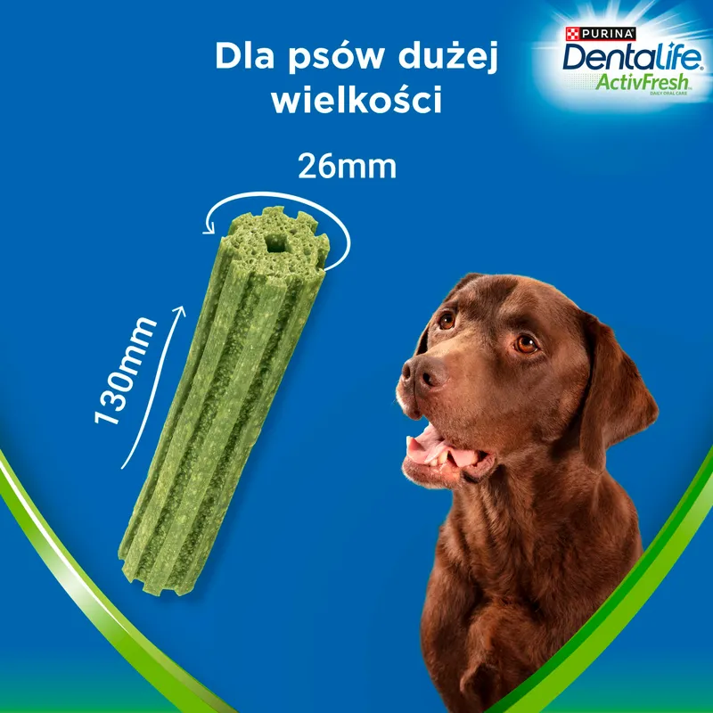 Przysmak Dla Psa Dentystyczny Do Żucia 4 szt ZOOJOY