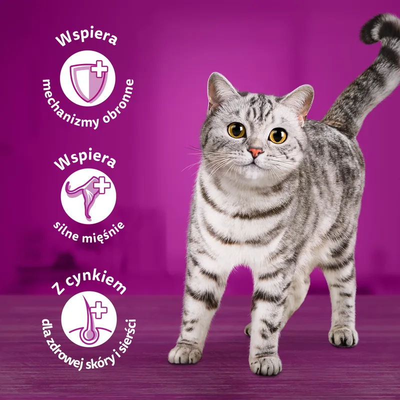 WHISKAS Adult Karma Mokra Dla Kotów Wołowina Kurczak Jagnięcina Drób 12x85g