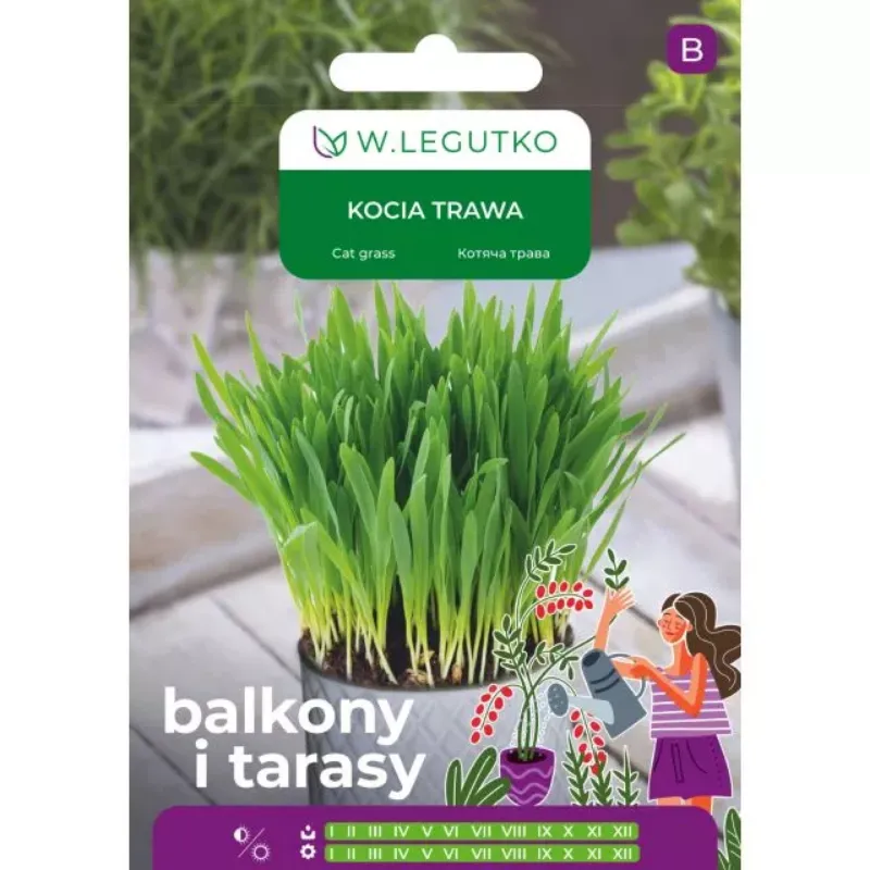 Nasiona Kociej Trawy Dla Kota