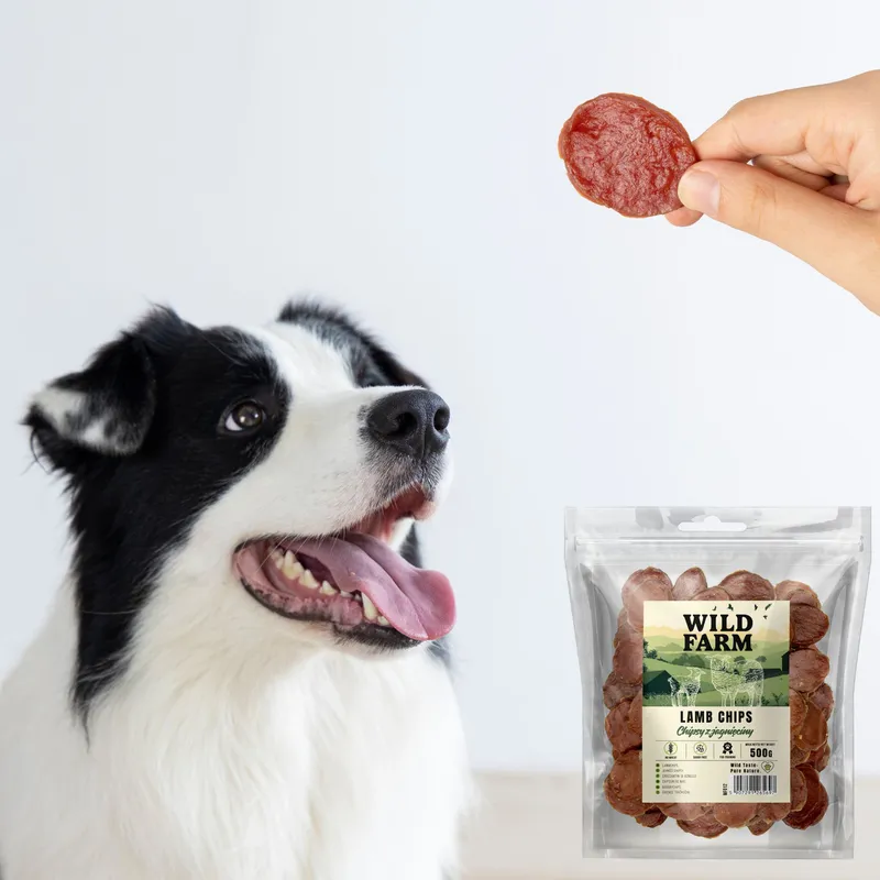 Przysmak Dla Psa Jagnięcina Naturalny Bezzbożowy ZOOJOY 500 g