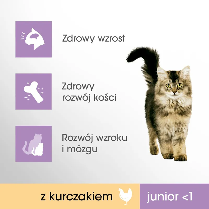 PERFECT FIT (Junior) 750g Bogaty W Kurczaka - Sucha Karma Dla Kota