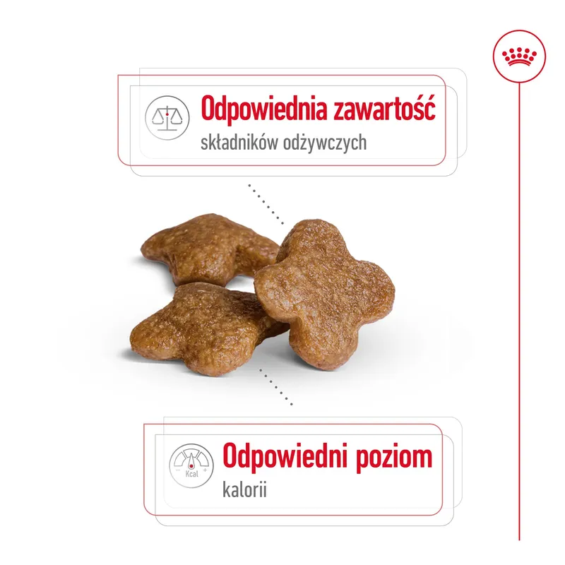 ROYAL CANIN Mini Adult 8+ 2kg