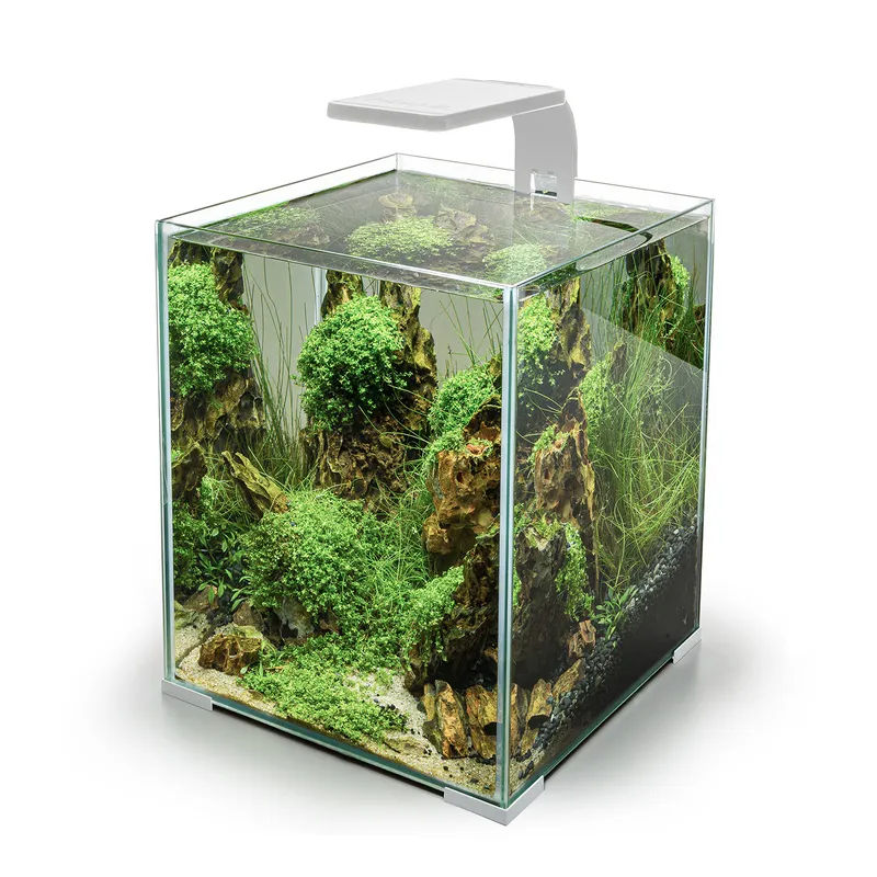 AQUAL Moduł Oświetleniowy Leddy Smart 4,8W Sunny D&N - Biały