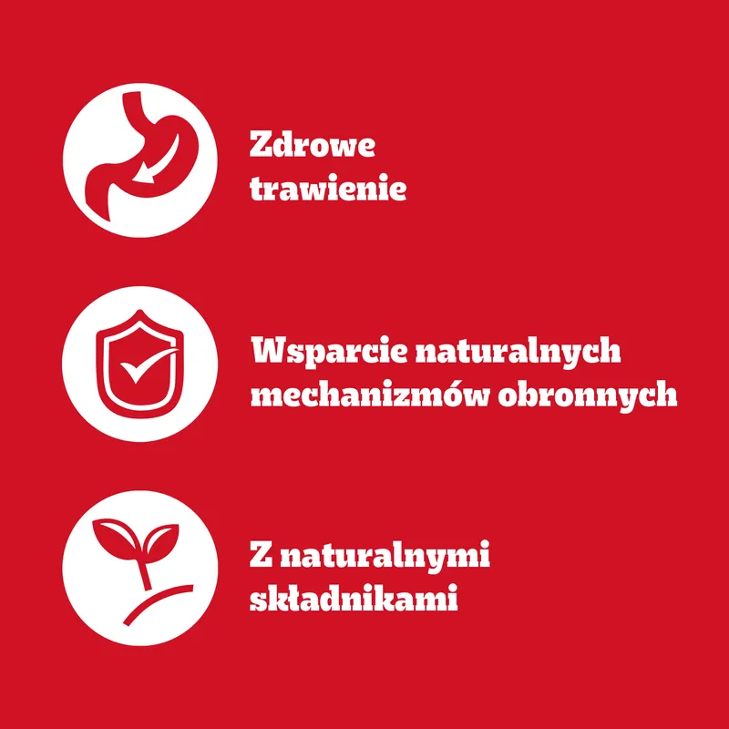 Pedigree Mokra Karma Dla Dorosłych Psów Z Wołowiną W Galaretce 1200g