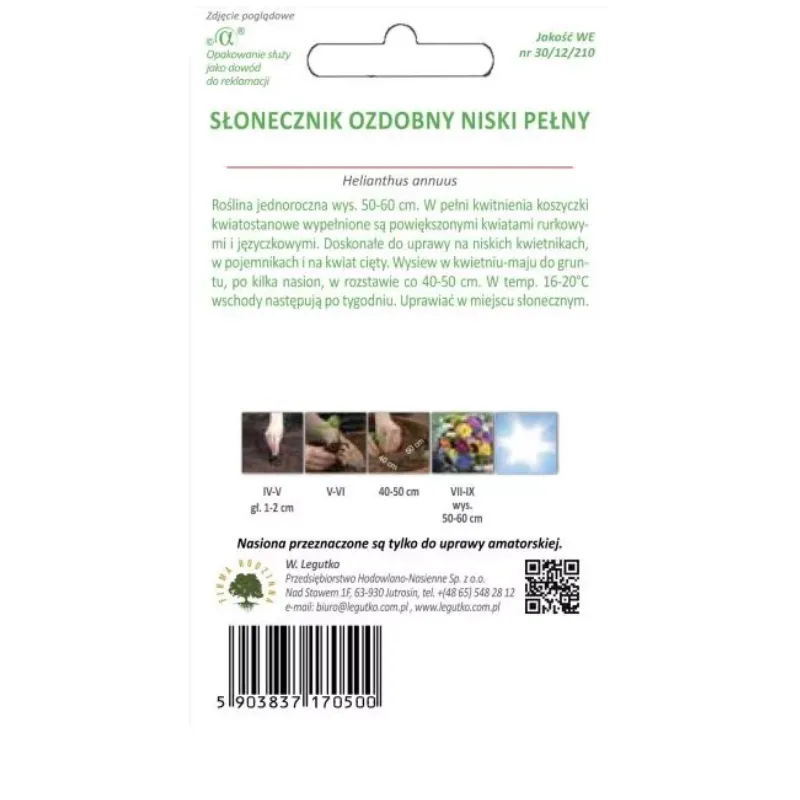 Słonecznik Ozdobny Niski Pełny Złotożółty GARDIVA Teddy Bear 2 g