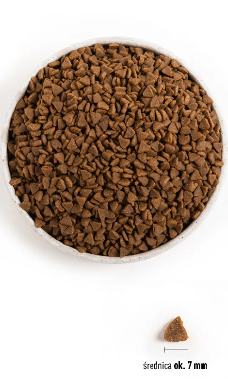 ACANA First Feast Cat 1,8kg