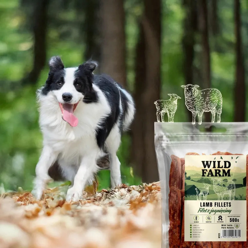 Przysmak Dla Psa Filet Z Jagnięciny Naturalny Bezzbożowy ZOOJOY 500 g