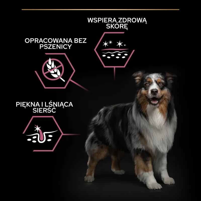 Purina Pro Plan Medium Adult Sensitive Skin Optiderma Łosoś I Ryż 14kg
