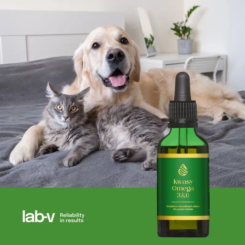 Kwasy Tłuszczowe Omega 3 I 6 Dla Psa I Kota Na Sierść ZOOJOY 100 ml