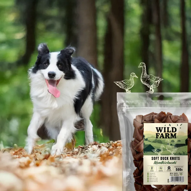Przysmak Dla Psa Węzełki Z Kaczki Naturalne Bezzbożowe ZOOJOY 500 g