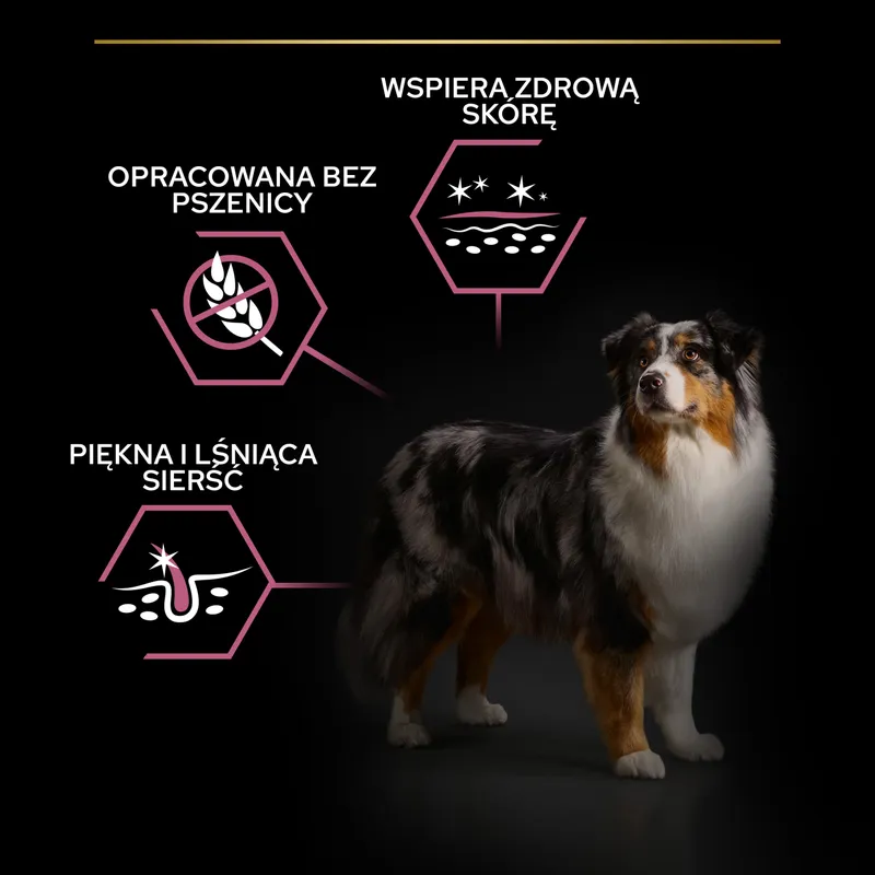 Purina Pro Plan Medium & Large 7+ Sensitive Optiderma Łosoś I Ryż 14kg