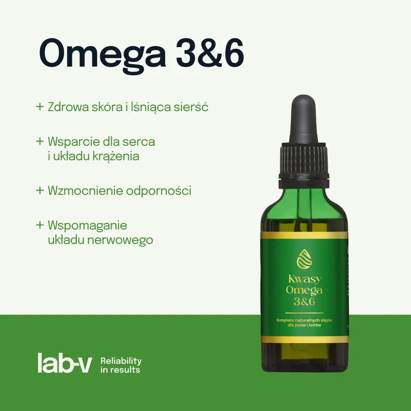 Kwasy Tłuszczowe Omega 3 I 6 Dla Psa I Kota Na Sierść ZOOJOY 100 ml