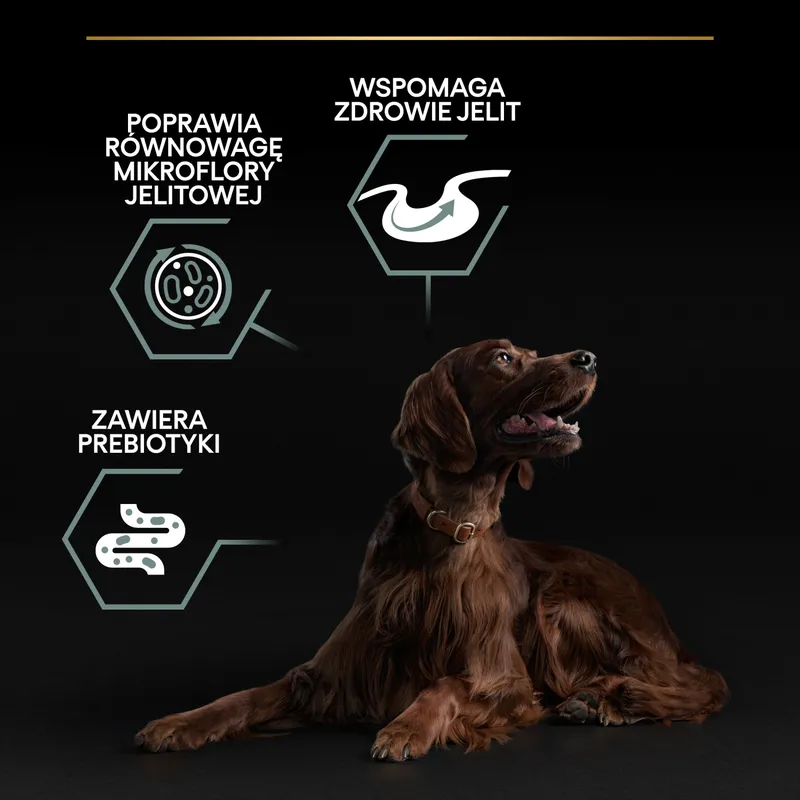 Purina Pro Plan Large Adult Athletic Optidigest Jagnięcina Z Ryżem 14kg