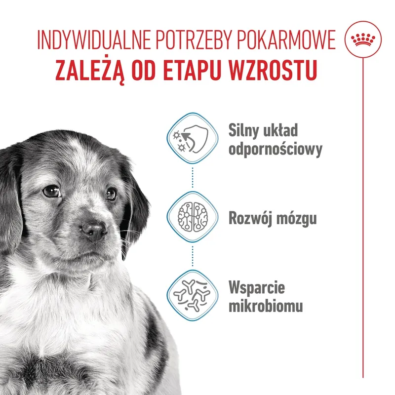 ROYAL CANIN Medium Puppy 4kg