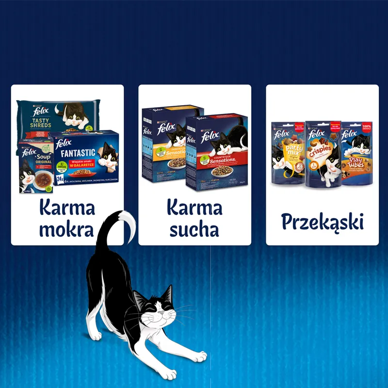 Felix Wiejskie Smaki W Galaretce Z Królikiem I Jagnięciną 4x85g