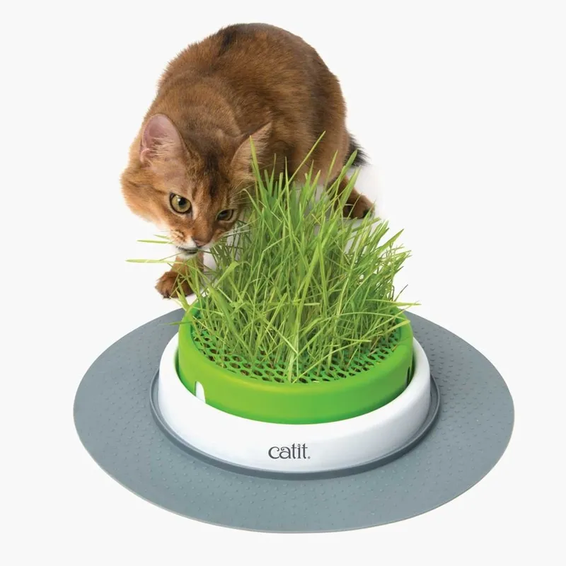 CATIT Zestaw- Ogród Z Trawą